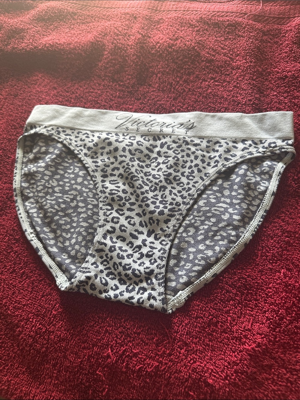 NWOT Victoria's Secret Gray Leopard-Print Bikini Brief
